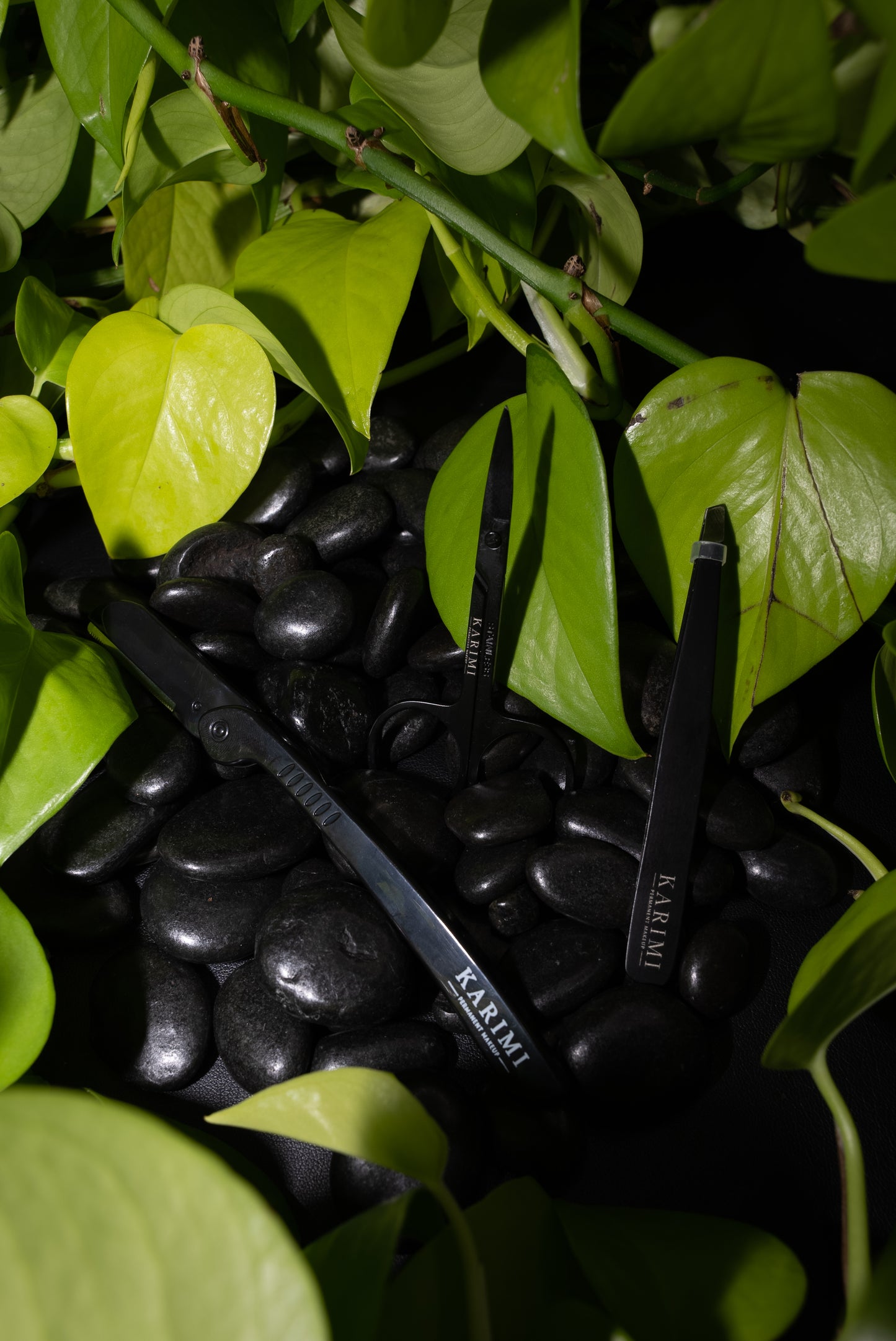 Strikingly Beautiful Grooming Kit